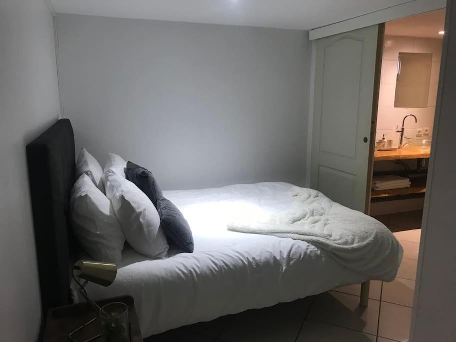 Appartement A La Decouverte De Strasbourg ビシュハイム エクステリア 写真