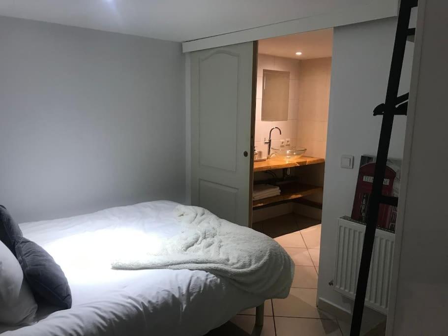 Appartement A La Decouverte De Strasbourg ビシュハイム エクステリア 写真